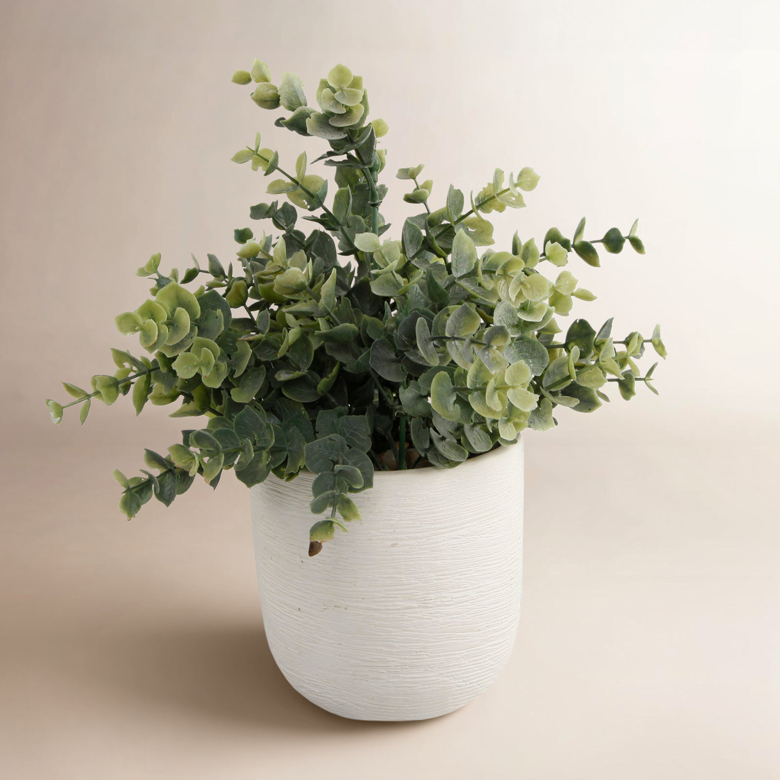 10'' Faux Eucalyptus Plant in Ceramic Planter