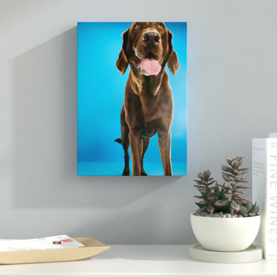 Modern & Contemporary Painting Print