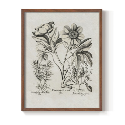 " Vintage Floral Print CCCXXIX "