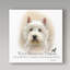 « west highland terrier », reproduction d’impression sur toile tendue-26856634