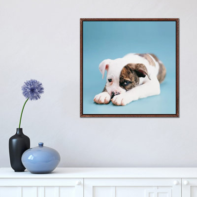Shadow by Rachael Hale - Print on Canvas