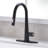 FLG 1270series Pull Down Kitchen Faucet