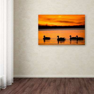 Maes "Jamaica Bay Sunset - NYC II" by David Ayash Photographic Print on Wrapped Canvas