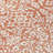Floral Indoor / Outdoor Rug-109582804