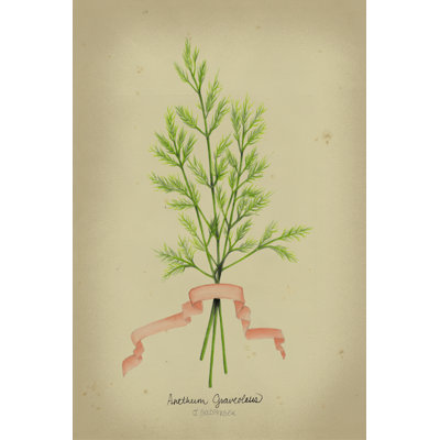 Herb Series V (AA)