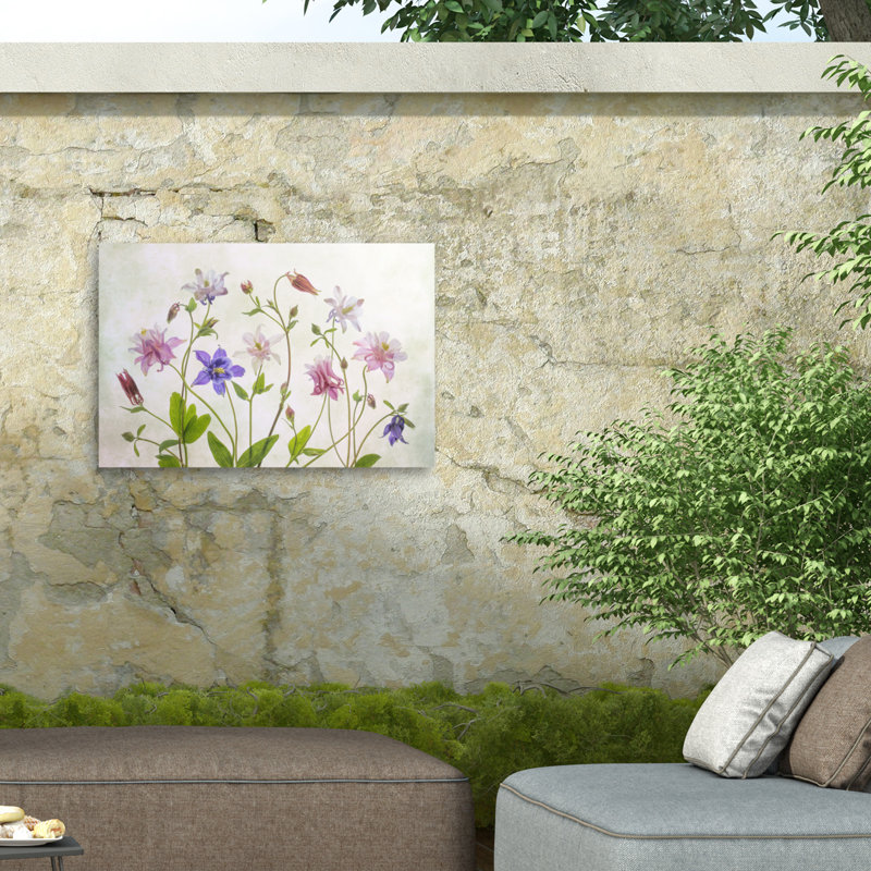 «Columbine On Canvas» par Mandy Disher, reproduction, H 16 po x l 24 po