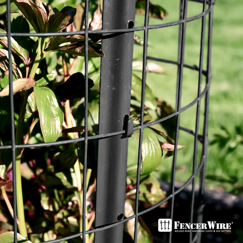 2 ft. x 50 ft. Black Vinyl Coated Welded Wire Fence