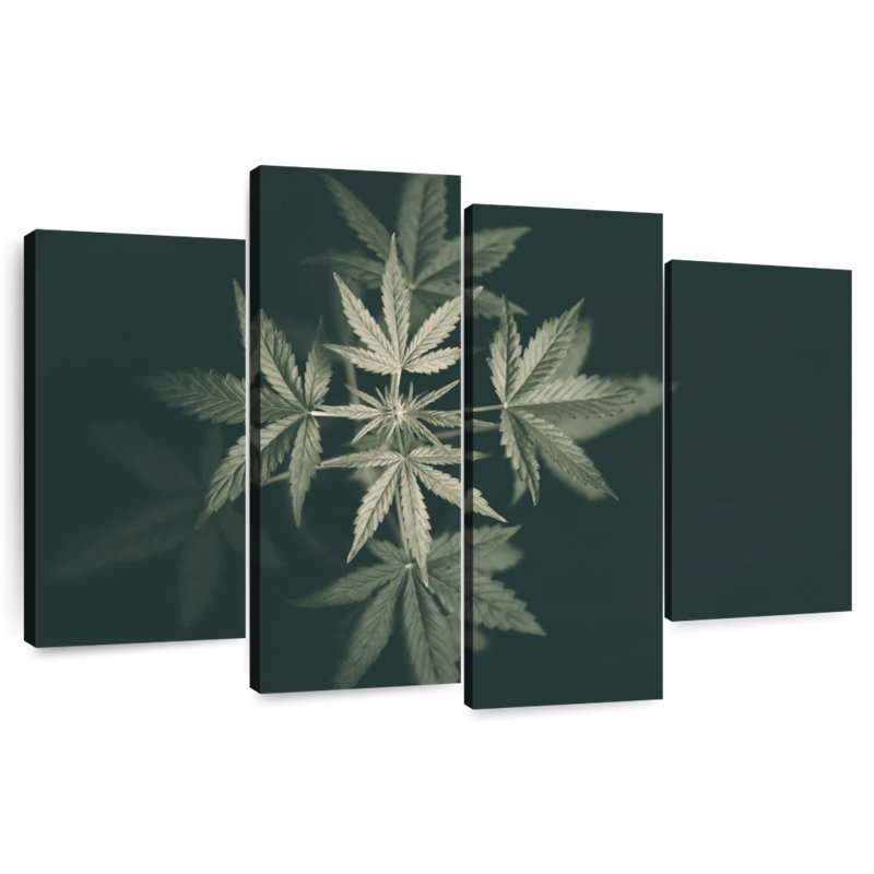Marijuana In Black, 22'' H x 36'' W