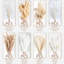 130 bouquets d'herbes de pampas séchées naturelles - Boho Home Decor phrases de fleurs séchées | Arrangement floral de mariage