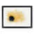 Black Framed