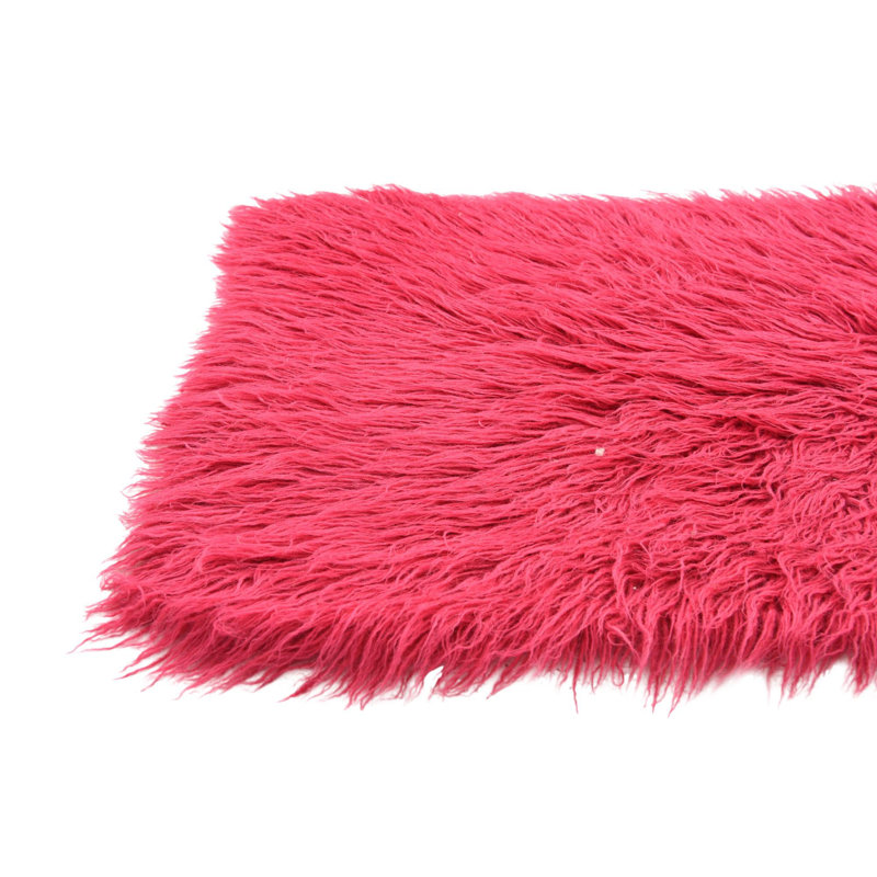 Runner Phillippi Pink Rug