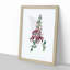 Foxglove Flowers Illustration - Framed Print-55577662-55577663