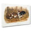 Black Rat by J.W. Audubon - Wrapped Canvas Painting-55313313