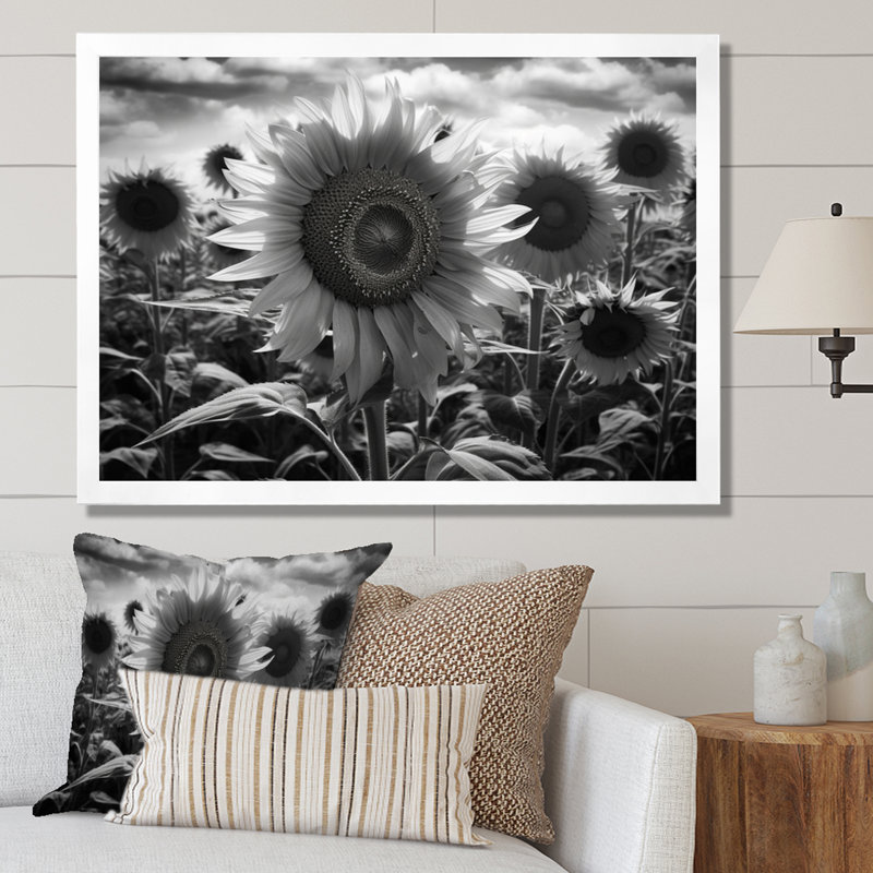 Tournesol noir et blanc I, H 12 po x l 20 po x P 1 po, Cadre photo blanc