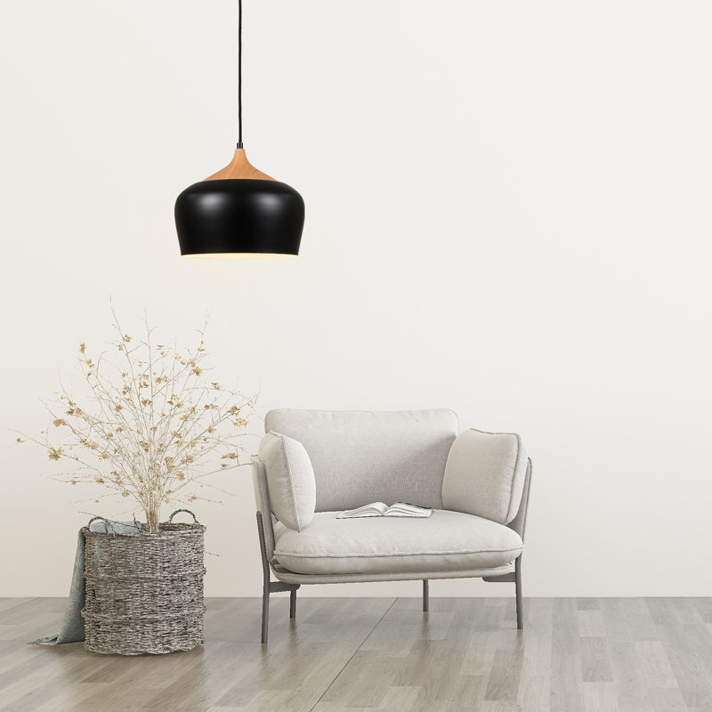 Shakopee 1 - Light Single Pendant