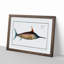 Swordfish - Picture Frame Art Prints-55616840-55616841