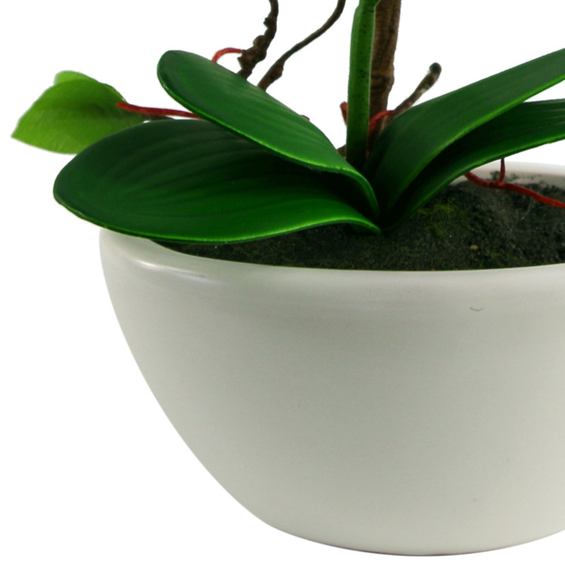 Ansa 24cm Faux Tree in Ceramic Planter
