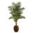 66'' Faux Palm Tree in Wood Planter