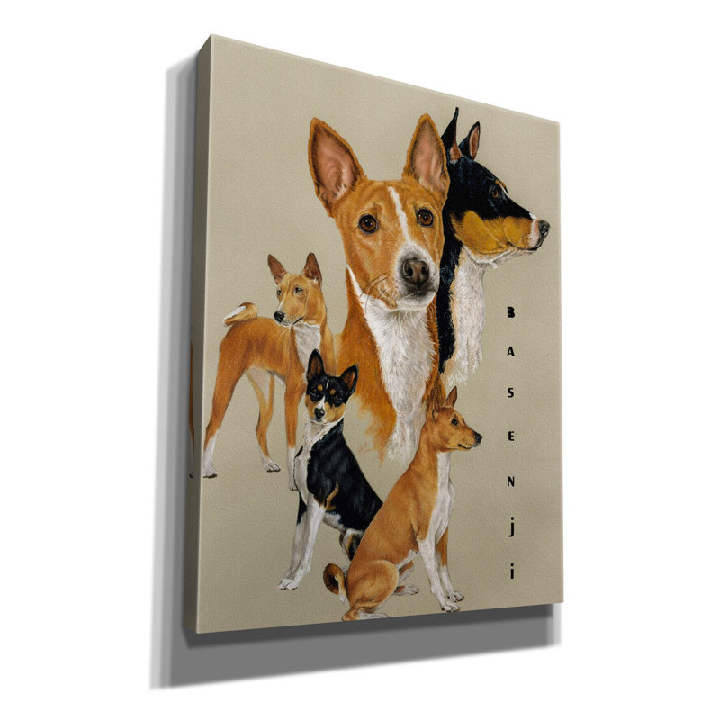 'Basenji' by Barbara Keith, Canvas Wall Art, 34" H x 26" W x 1.5" D