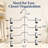 Miceli Metal Non-Slip Multi-Layer Hanger