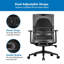 Ergo Collection Lumbar Support