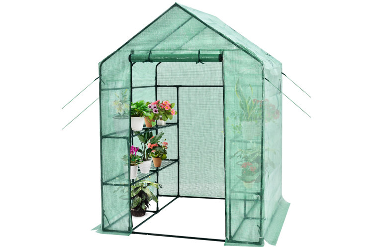 greenhouse
