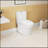 Advanced 1.1/1.6 GPF Elongated Comfort Height Floor Mounted One-Piece Toilet, CUPC Certified, Watersense Cetified, Ceramic, Soft Close Seat-112377973