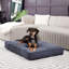 Lit pour chien avec coussin de soutien-794393529-794393522