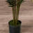Thisbe 60'' Faux Palm Tree in Pot