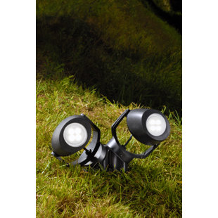 Black Spotlight