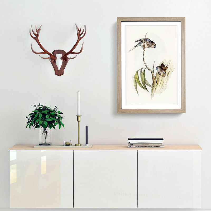Bouke's Grass Parakeets by Elizabeth Gould - Picture Frame Painting Print, Oak Framed, 65cm H x 48cm W x 2cm D