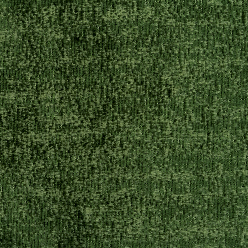 Tissu Hendrix, Cricket