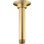 Ceiling Mount Showerarm