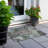 Colwart Damask Indoor / Outdoor Rug-109608618