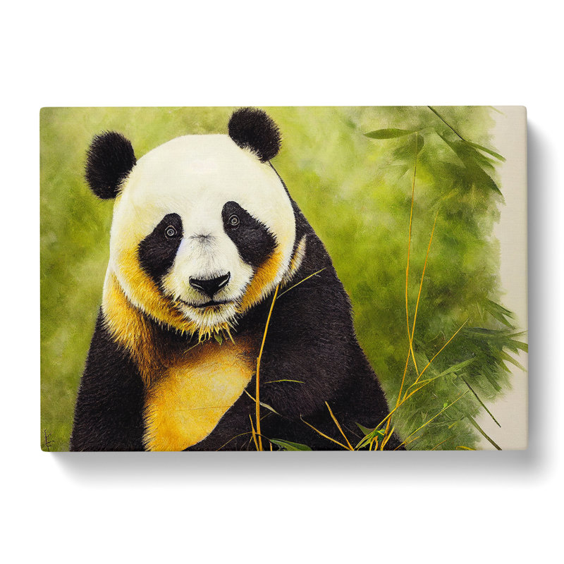 Unbelievable Panda - Wrapped Canvas, 40cm H x 60cm W x 3cm D