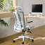 Ashton Plus Office Chair-1472640127