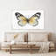"Vintage Flutter II" par Tava Studios, reproduction sur toile-583684440
