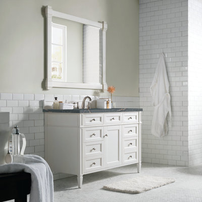 Dussault 48'' Single Bathroom Vanity with Top