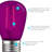 0.5 Watt S14 LED Colored String Light Bulb, Purple and Orange, E26/Medium (Standard) Base
