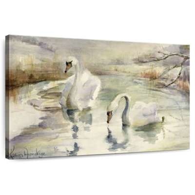 Swans In Winter
