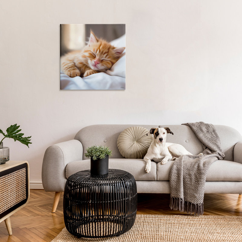 «Sleeping Orange Kitten», art mural par RB, H 30 po x l 30 po