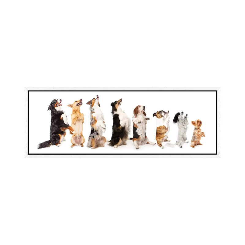 Row of Dogs Sitting up to Side Begging 1 Piece Panoramic Wall Art on Canvas, 30.48cm H x 91.44cm W x 3.81cm D