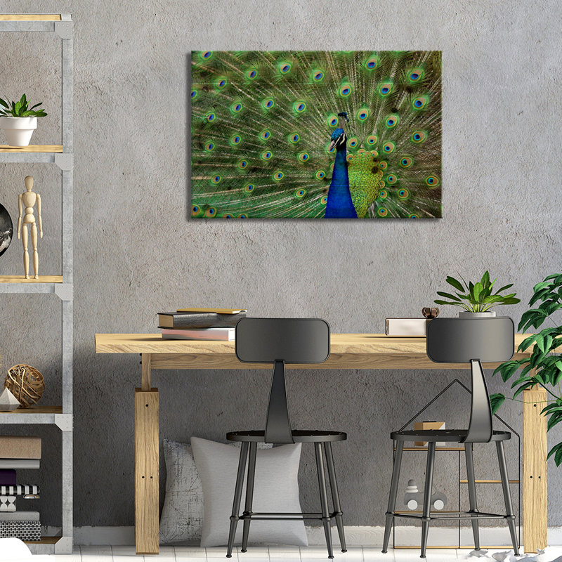 " Peacock Feathers " by Unknown Artist, Wrapped Canvas, 18" H x 26" W x 1.5" D