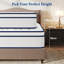 Neche Mattress-132143056-132143058