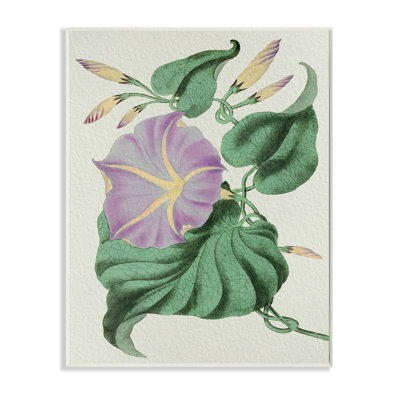 Étude florale rétro mauve jaune matin