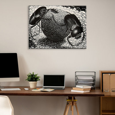 Toile tendue Scarebs par M.C.Escher Gallery