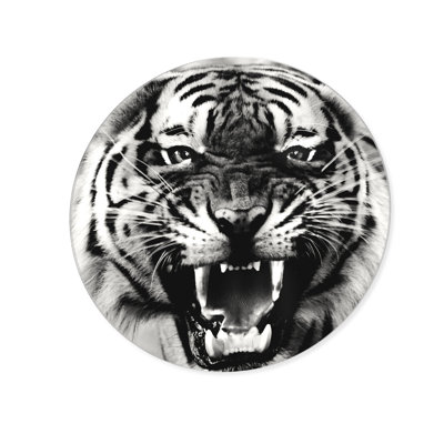 Wild Tiger Round Acrylic Art by Oliver Gal