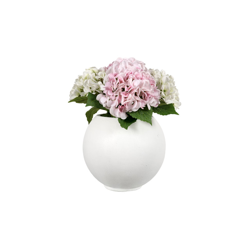 Hortensias roses dans une jardinière ronde blanche, Rose / blanc