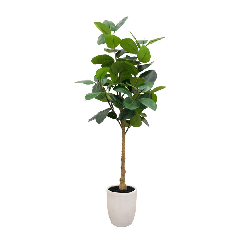6ft Artificial Rubber Tree