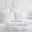 Ensemble de draps surdimensionnés 100% coton à double pointe Pointehaven 300 TC Percale-109921751-109921744